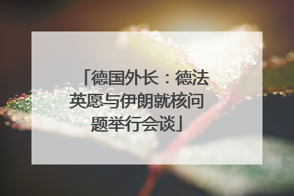 德国外长：德法英愿与伊朗就核问题举行会谈