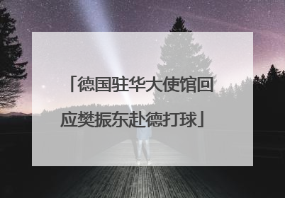 德国驻华大使馆回应樊振东赴德打球