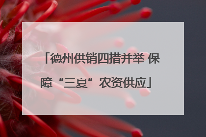 德州供销四措并举 保障“三夏”农资供应