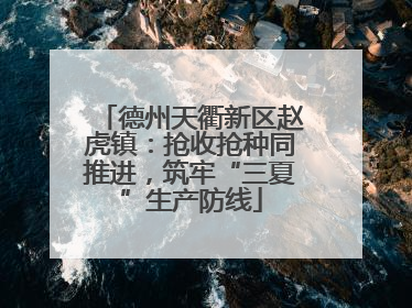 德州天衢新区赵虎镇：抢收抢种同推进，筑牢“三夏”生产防线