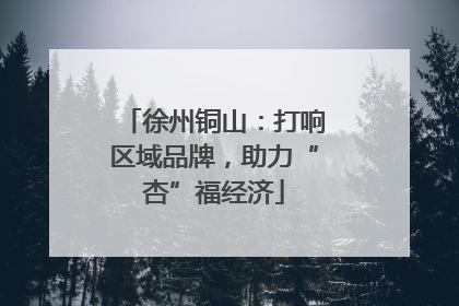 徐州铜山：打响区域品牌，助力“杏”福经济