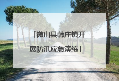 微山县韩庄镇开展防汛应急演练
