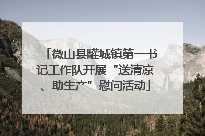 微山县驩城镇第一书记工作队开展“送清凉、助生产”慰问活动