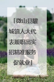 微山县驩城镇人大代表履职出实招精准服务促就业