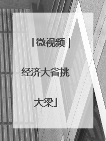 微视频｜经济大省挑大梁