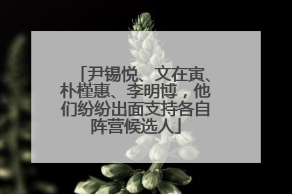 尹锡悦、文在寅、朴槿惠、李明博，他们纷纷出面支持各自阵营候选人
