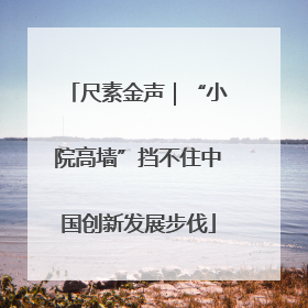 尺素金声｜“小院高墙”挡不住中国创新发展步伐