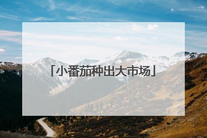 小番茄种出大市场