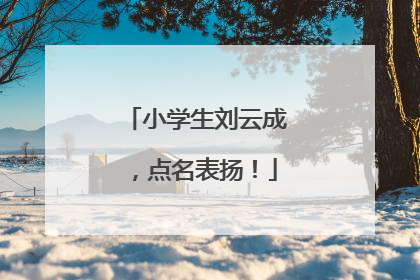 小学生刘云成，点名表扬！