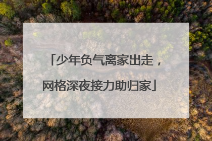 少年负气离家出走，网格深夜接力助归家