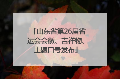 山东省第26届省运会会徽、吉祥物、主题口号发布