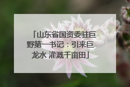 山东省国资委驻巨野第一书记：引来巨龙水 灌溉千亩田