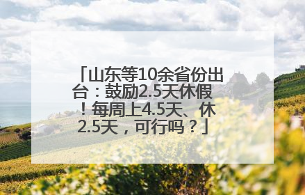 山东等10余省份出台：鼓励2.5天休假！每周上4.5天、休2.5天，可行吗？