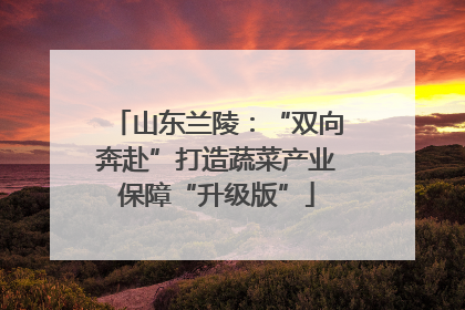 山东兰陵：“双向奔赴”打造蔬菜产业保障“升级版”
