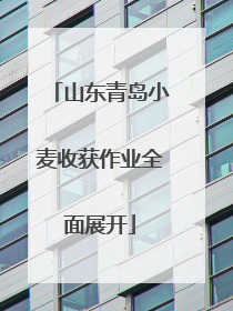 山东青岛小麦收获作业全面展开