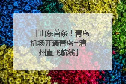 山东首条！青岛机场开通青岛=清州直飞航线