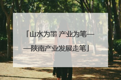 山水为墨 产业为笔——陕南产业发展走笔