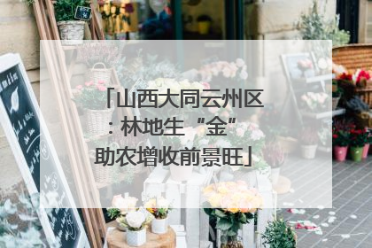 山西大同云州区：林地生“金” 助农增收前景旺