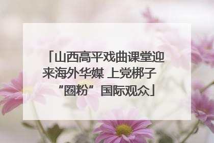 山西高平戏曲课堂迎来海外华媒 上党梆子“圈粉”国际观众