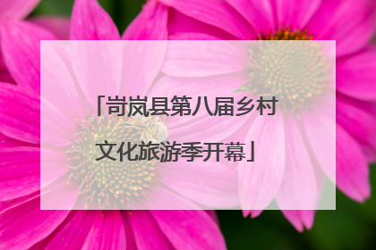 岢岚县第八届乡村文化旅游季开幕