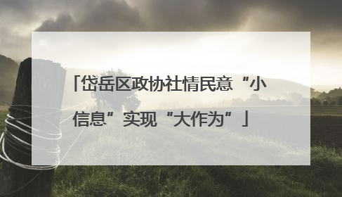 岱岳区政协社情民意“小信息”实现“大作为”