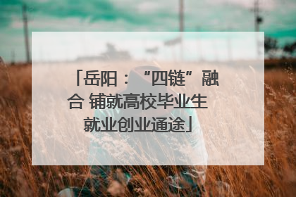 岳阳：“四链”融合 铺就高校毕业生就业创业通途