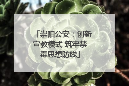 崇阳公安：创新宣教模式 筑牢禁毒思想防线