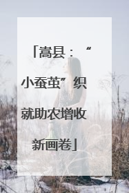 嵩县：“小蚕茧”织就助农增收新画卷