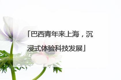 巴西青年来上海，沉浸式体验科技发展