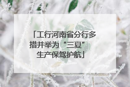 工行河南省分行多措并举为“三夏” 生产保驾护航