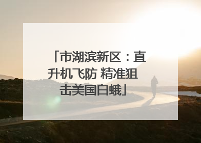 市湖滨新区：直升机飞防 精准狙击美国白蛾