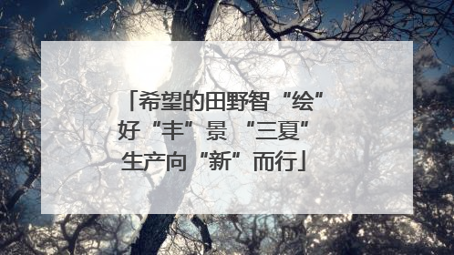 希望的田野智“绘”好“丰”景 “三夏”生产向“新”而行