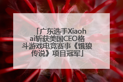 广东选手Xiaohai斩获美国CEO格斗游戏电竞赛事《饿狼传说》项目冠军