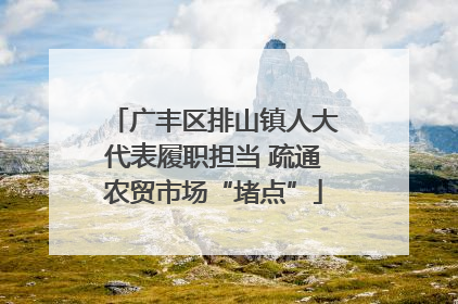 广丰区排山镇人大代表履职担当 疏通农贸市场“堵点”