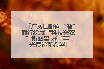 广袤田野向“智”而行绘就“科技兴农”新图景 好“丰”光传递新希望