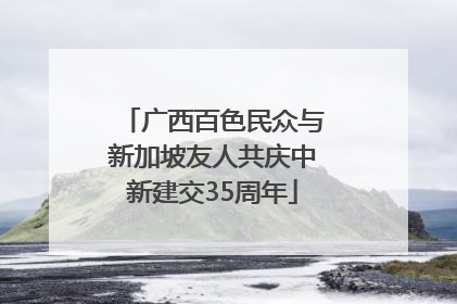 广西百色民众与新加坡友人共庆中新建交35周年