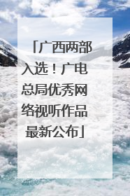 广西两部入选！广电总局优秀网络视听作品最新公布