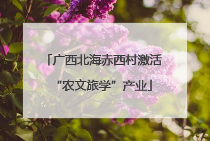 广西北海赤西村激活“农文旅学”产业