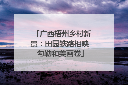 广西梧州乡村新景：田园铁路相映 勾勒和美画卷