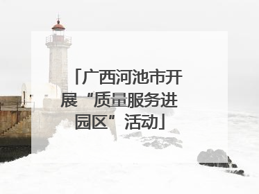 广西河池市开展“质量服务进园区”活动