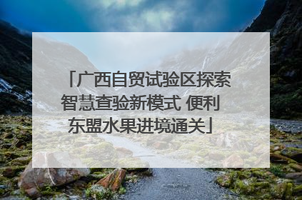 广西自贸试验区探索智慧查验新模式 便利东盟水果进境通关