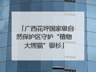 广西花坪国家级自然保护区守护“植物大熊猫”银杉