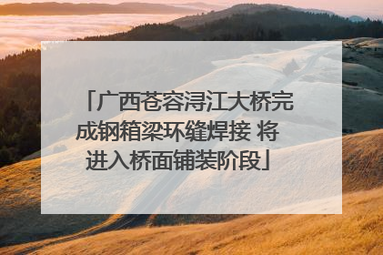 广西苍容浔江大桥完成钢箱梁环缝焊接 将进入桥面铺装阶段