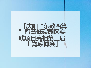 庆阳“东数西算”智慧低碳园区实践项目亮相第三届上海碳博会