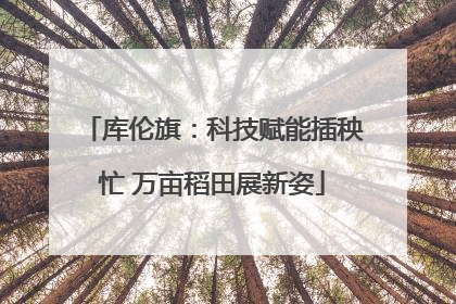 库伦旗：科技赋能插秧忙 万亩稻田展新姿