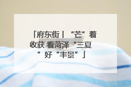 府东街丨“芒”着收获 看菏泽“三夏”好“丰景”