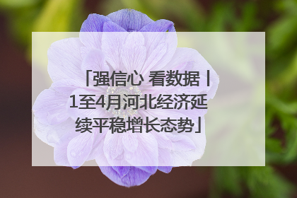 强信心 看数据丨1至4月河北经济延续平稳增长态势