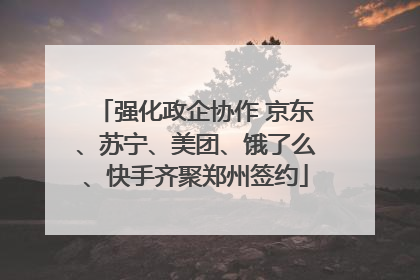 强化政企协作 京东、苏宁、美团、饿了么、快手齐聚郑州签约