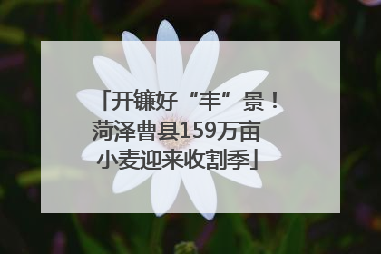开镰好“丰”景！菏泽曹县159万亩小麦迎来收割季