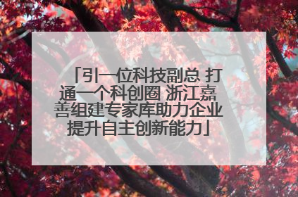 引一位科技副总 打通一个科创圈 浙江嘉善组建专家库助力企业提升自主创新能力